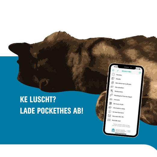 Foto Webseite Hiru DE Pockethes