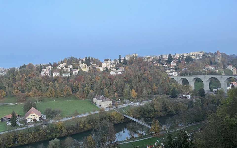 Fribourg, quartier du Schoenberg, novembre 2024.